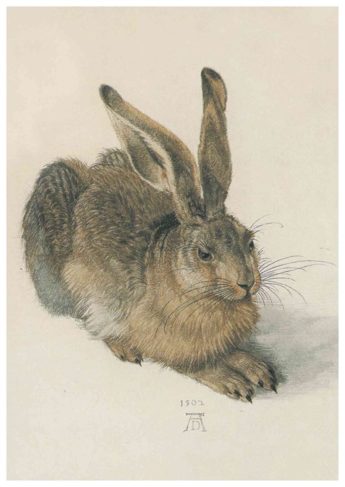 Ein Hase sitzt auf hellen Untergrund. Text: 1503.
