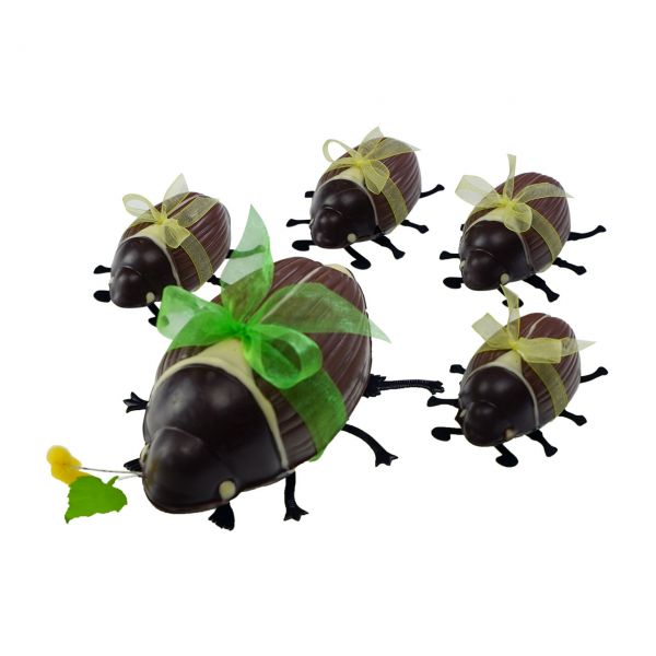 May Beetle