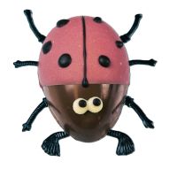 Ladybug with Layered Nougat and Ruby Chocolate 80g 
