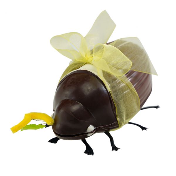 May Beetle 16cm (300g) filled with chocolates
